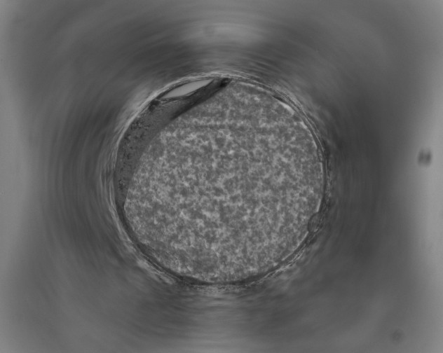 X0000094350241200711301408