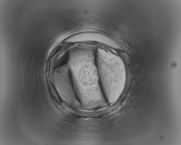 X0000094350244200711301408