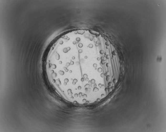 X0000094350246200711301408