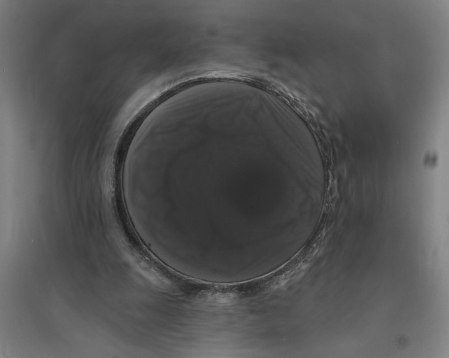 X0000094350247200711301408