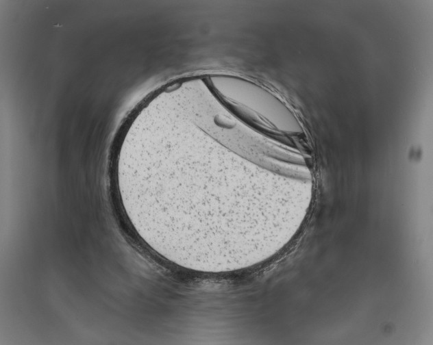 X0000094350248200711301408