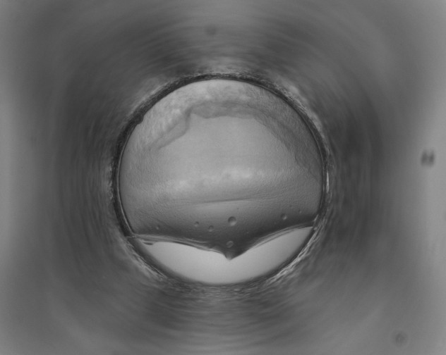 X0000094350249200711301408