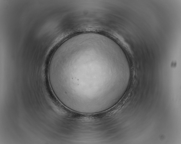 X0000094350250200711301408