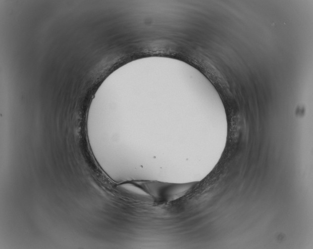 X0000094350255200711301408