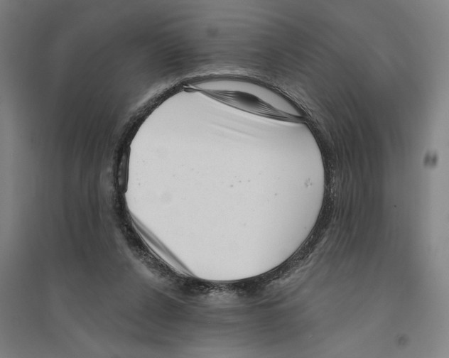 X0000094350256200711301408