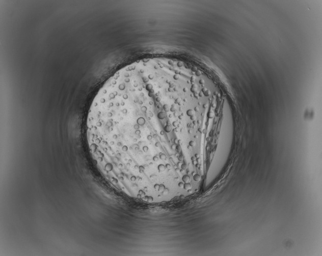 X0000094350257200711301408