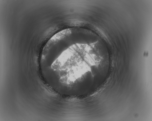 X0000094350258200711301408