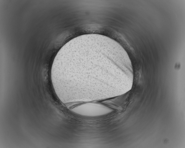 X0000094350259200711301408