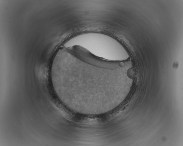 X0000094350260200711301408
