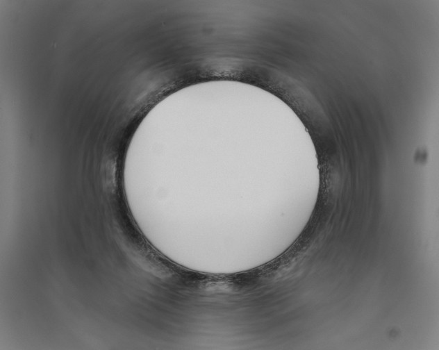 X0000094350262200711301409