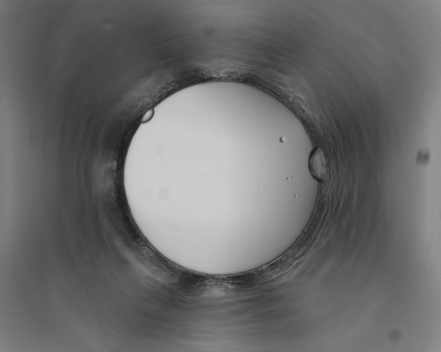 X0000094350263200711301409