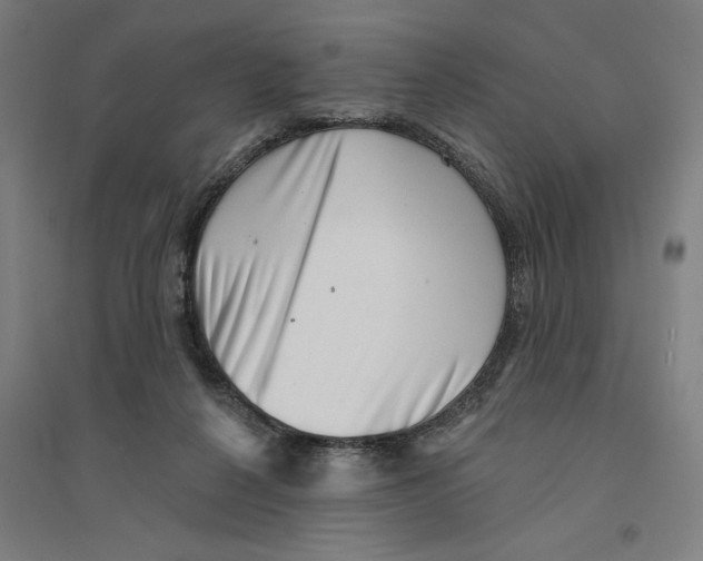 X0000094350264200711301409