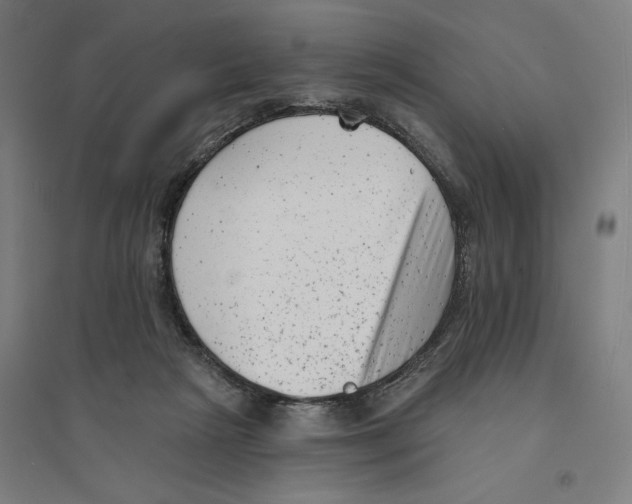 X0000094350265200711301409