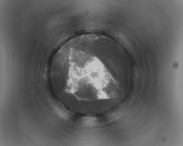 X0000094350266200711301409