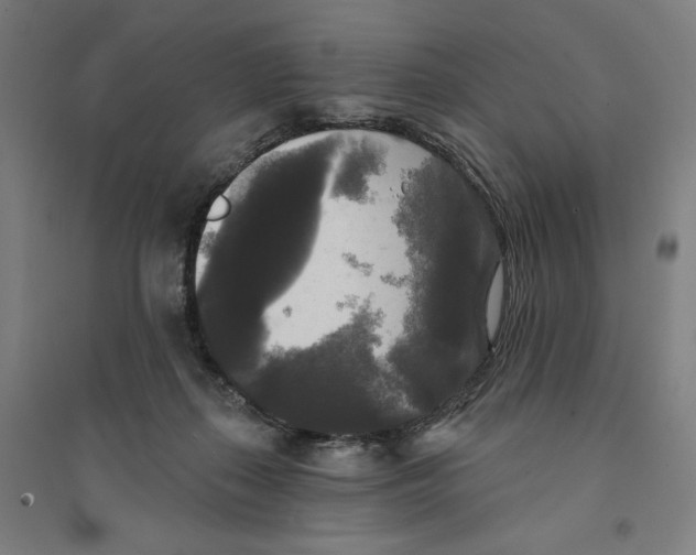 X0000094350267200711301409