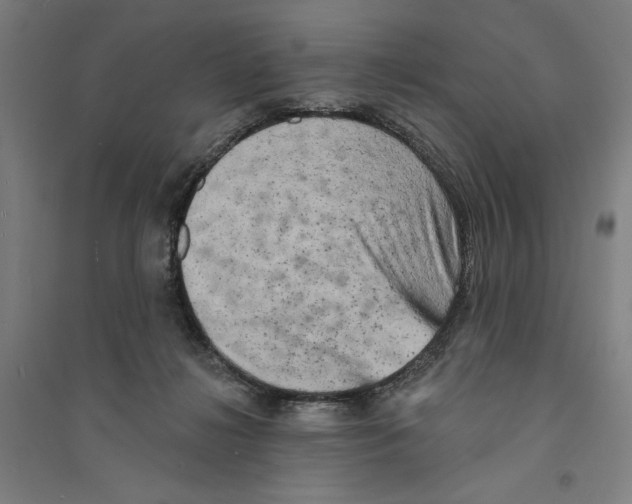 X0000094350268200711301409