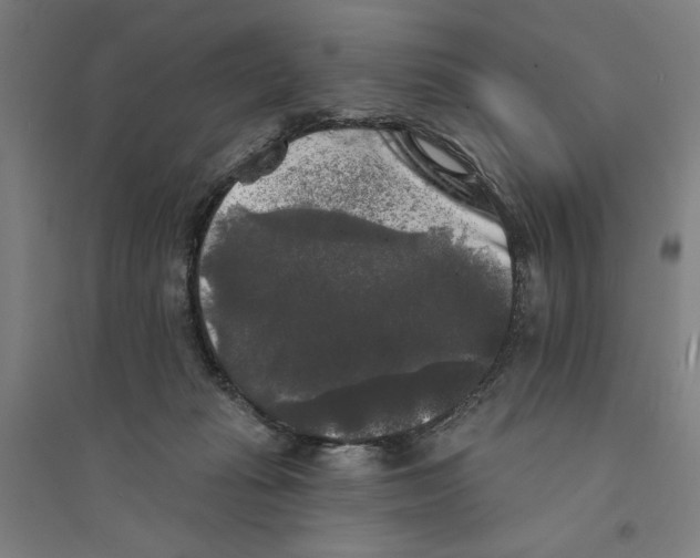 X0000094350269200711301409