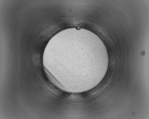 X0000094350270200711301409