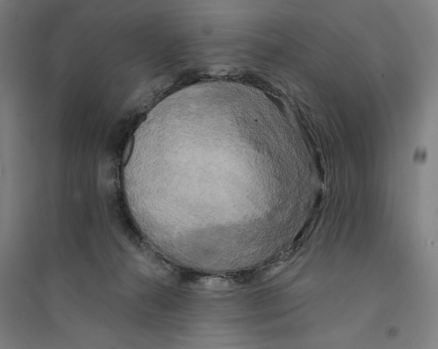 X0000094350272200711301409
