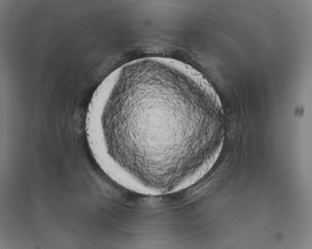 X0000094350273200711301409