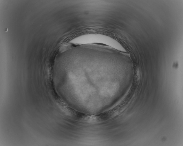 X0000094350276200711301409