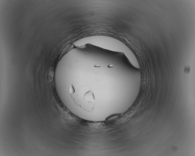 X0000094350281200711301409