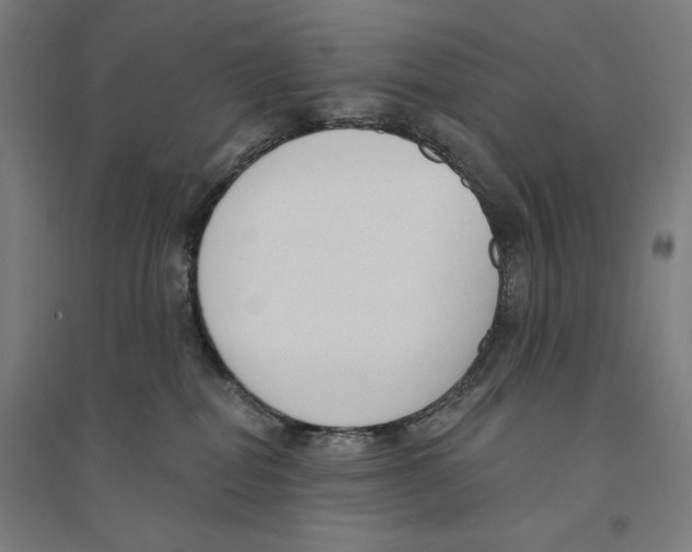 X0000094350282200711301409