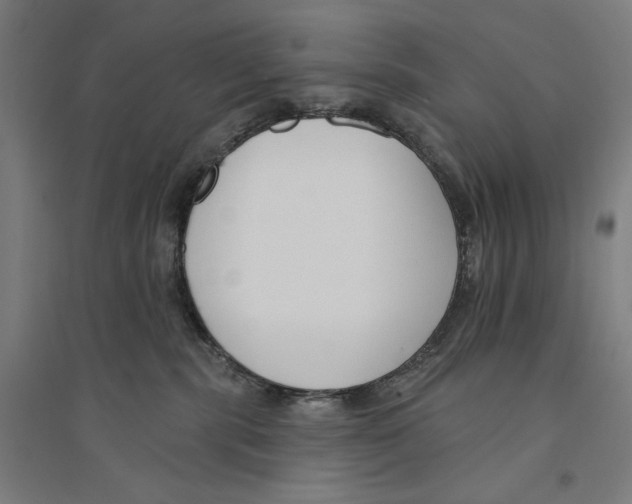 X0000094350283200711301409