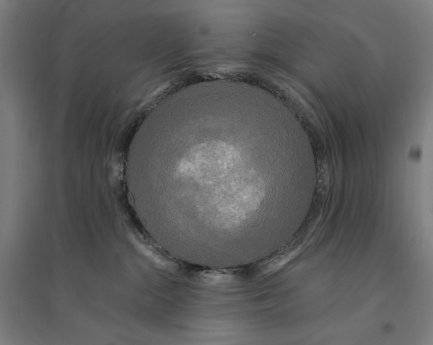 X0000094350284200711301409