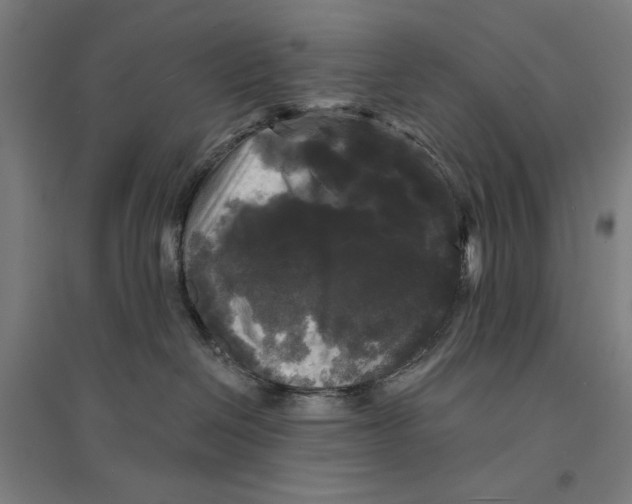 X0000094350286200711301409