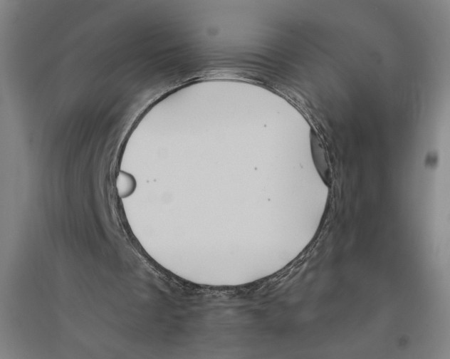 X0000094350289200711301408
