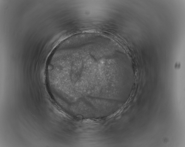 X0000094350290200711301408