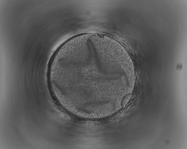 X0000094350292200711301408