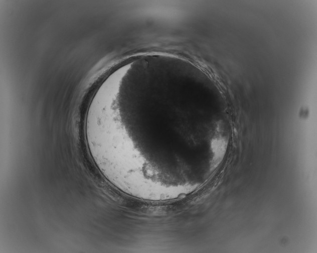 X0000094350295200711301408