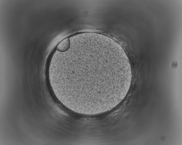 X0000094350296200711301408