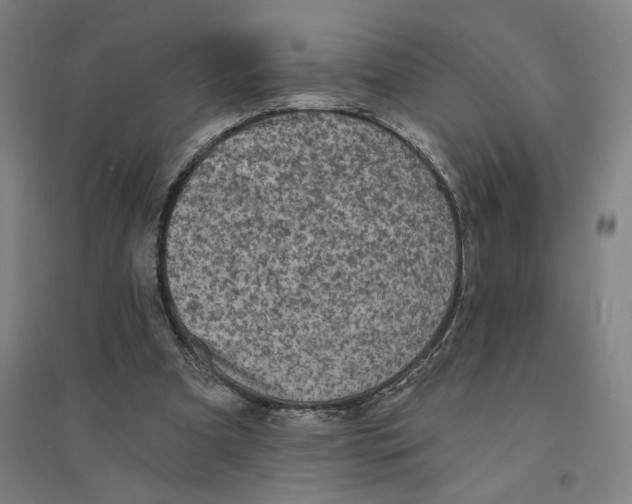 X0000094350297200711301408