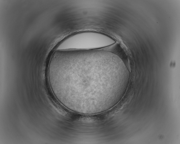 X0000094350299200711301408