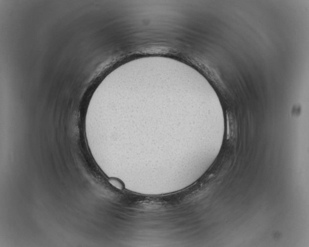 X0000094350300200711301408