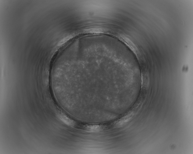 X0000094350301200711301408