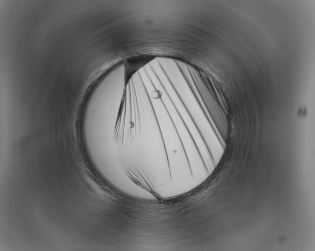 X0000094350302200711301408