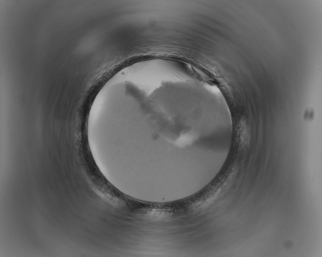 X0000094350303200711301408