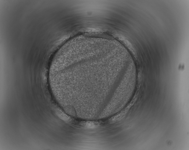 X0000094350305200711301408