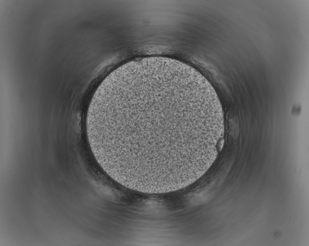 X0000094350308200711301408