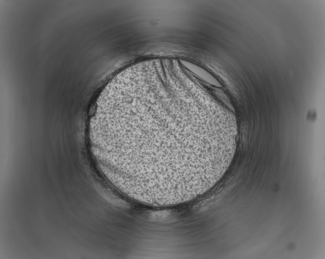 X0000094350309200711301408