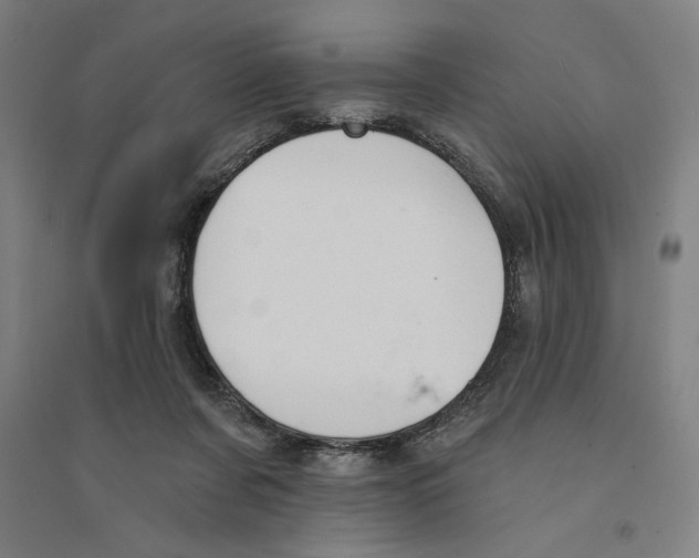 X0000094350311200711301408