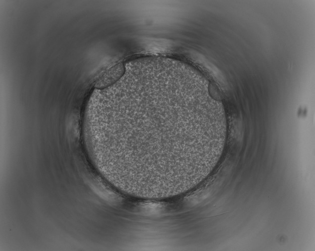 X0000094350313200711301408