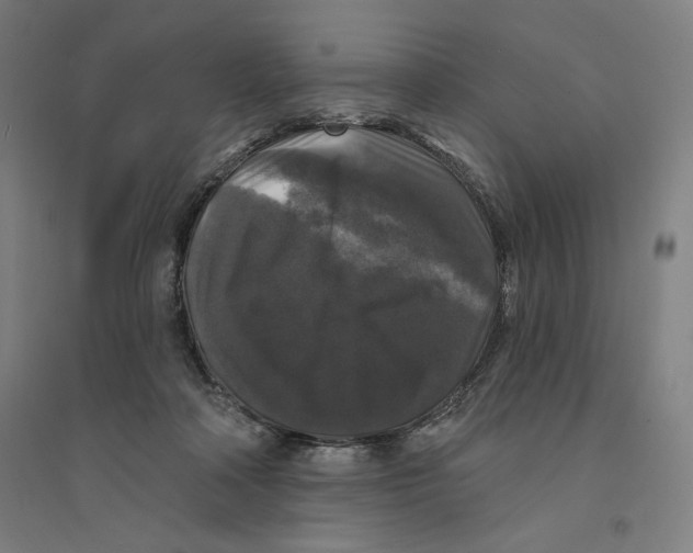 X0000094350314200711301408