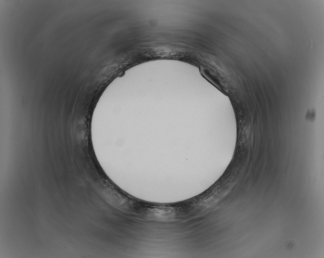 X0000094350317200711301408