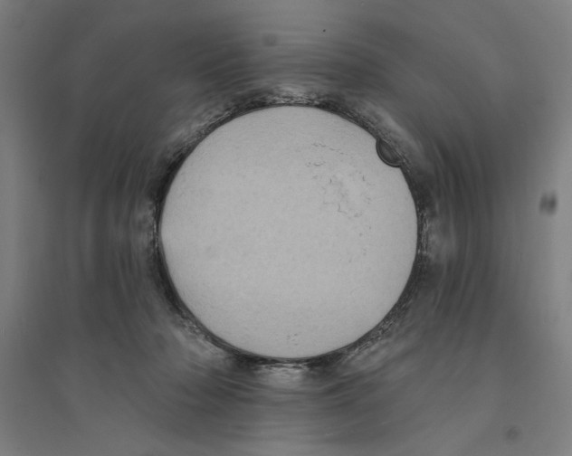 X0000094350318200711301408
