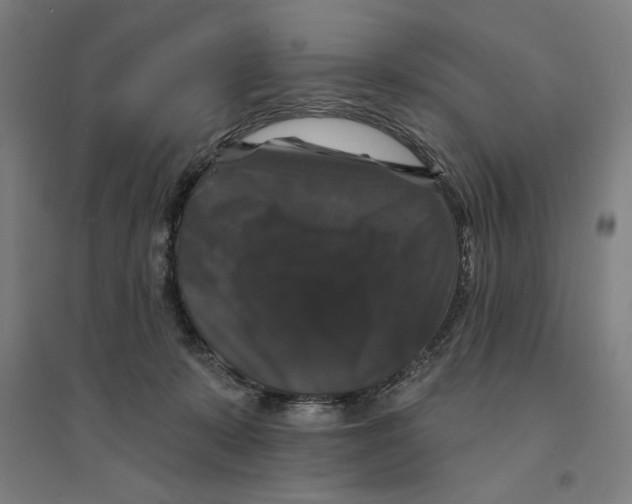 X0000094350319200711301408
